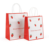 Custom Printed Logo New Design Eco Friendly Kraft Shopping Packaging Paper Bag